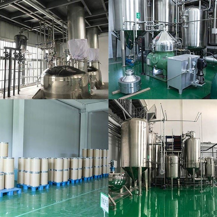 Red Radish Powder factory